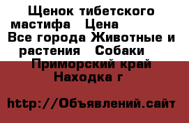 Щенок тибетского мастифа › Цена ­ 60 000 - Все города Животные и растения » Собаки   . Приморский край,Находка г.